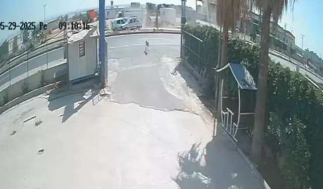Köpeğe çarpmamak için durdu, arkadan gelen araçlar çarptı