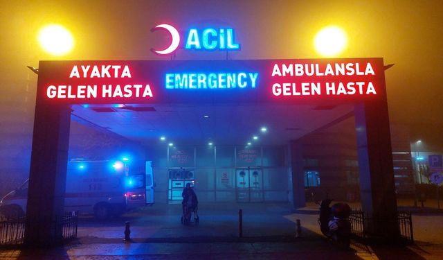 Diyarbakır’da tur minibüsü devrildi: 7 yaralı