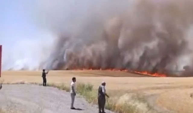 Diyarbakır’da tarım arazisinde yangın çıktı!
