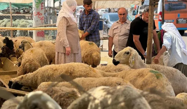 Kurban pazarlarında yoğunluk devam ediyor