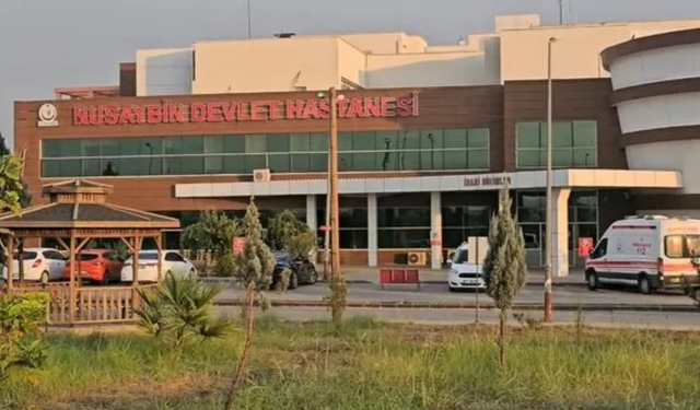 Mardin'de 1 genç gölette boğularak hayatını kaybetti