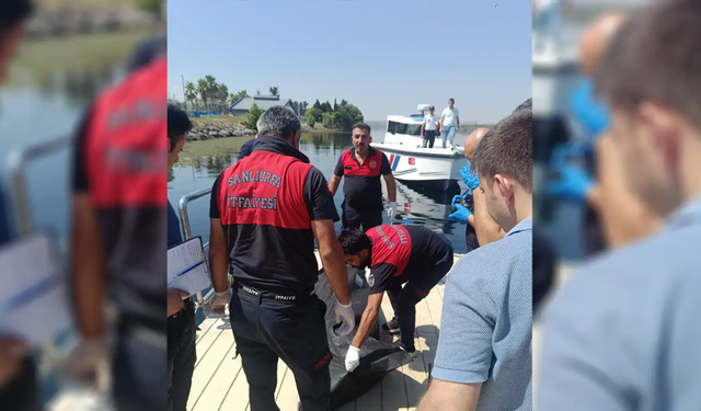 Kürt hekim, “Dünyanın En İyi 100 Hekimi” arasında