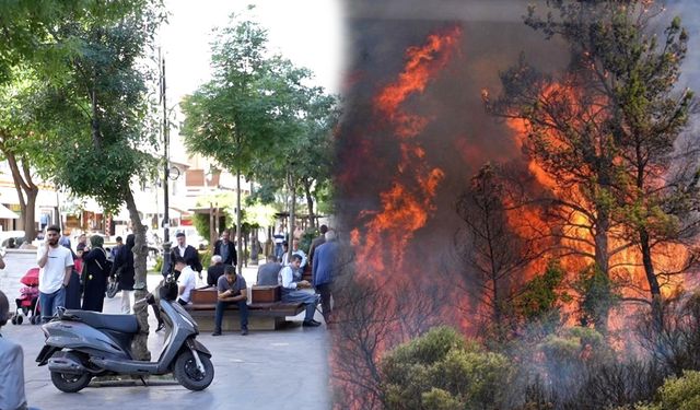 Diyarbakırlılar orman yangınları için gerekli önlemleri saydı