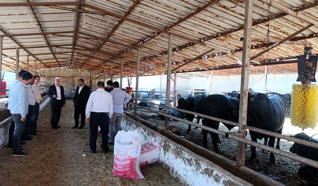 Şap alarmı: TZOB Başkanı’ndan acil önlem çağrısı