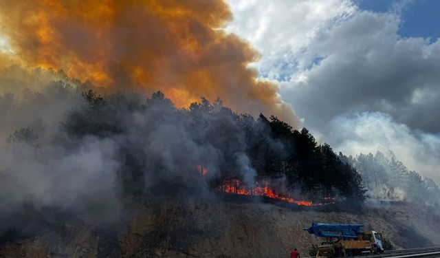 Bolu'da orman yangını: Kara yolu kapatıldı