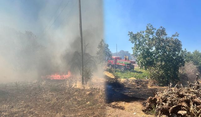 Diyarbakır'da 2 kırsal mahallede orman yangını