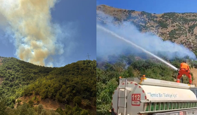 Hakkari’de orman yangını: Ekipler seferber oldu