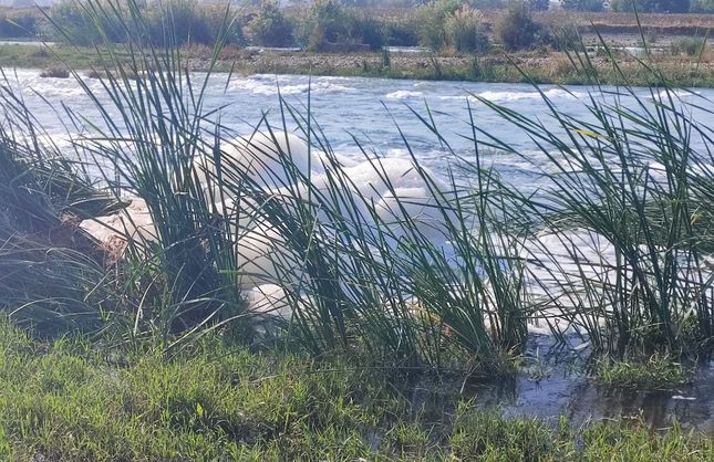 Dicle Nehri’nde kirlilik alarmı! Sular beyaz köpük içinde