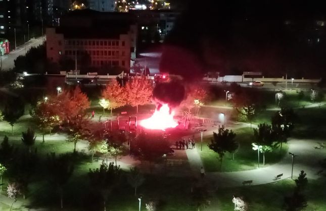 Diyarbakır'daki çocuk oyun parkı yangında kullanılamaz hale geldi