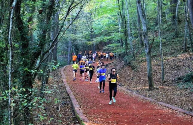 Belgrad Ormanı’na giriş yasaklandı, İBB’ye ait tabelalar söküldü