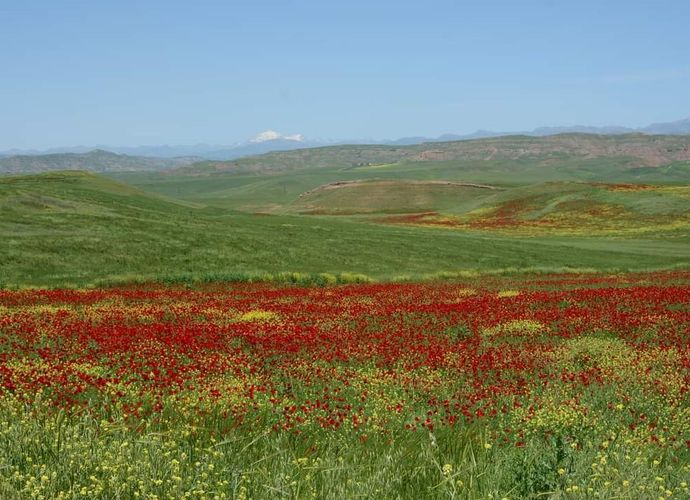 Siirt’in Garzan Ovası “büyük ova” ilan edildi