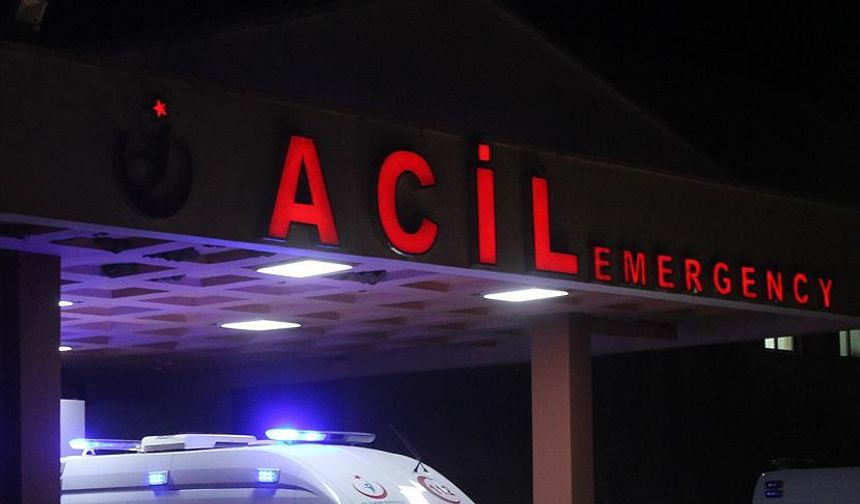 Doğadan toplanan mantar tehlike saçtı