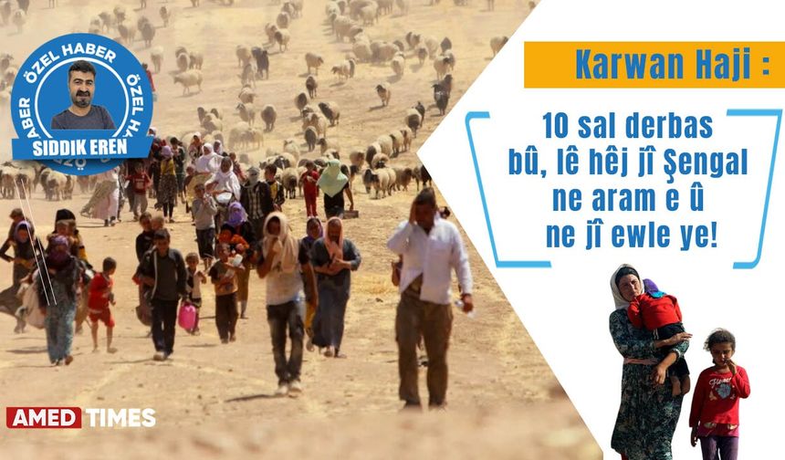 Karwan Haji: 10 sal derbas bû, lê hêj jî Şengal ne aram e û ne jî ewle ye!