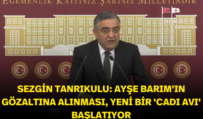 Sezgin Tanrıkulu: Ayşe Barım'ın gözaltına alınması, yeni bir 'Cadı Avı' başlatıyor