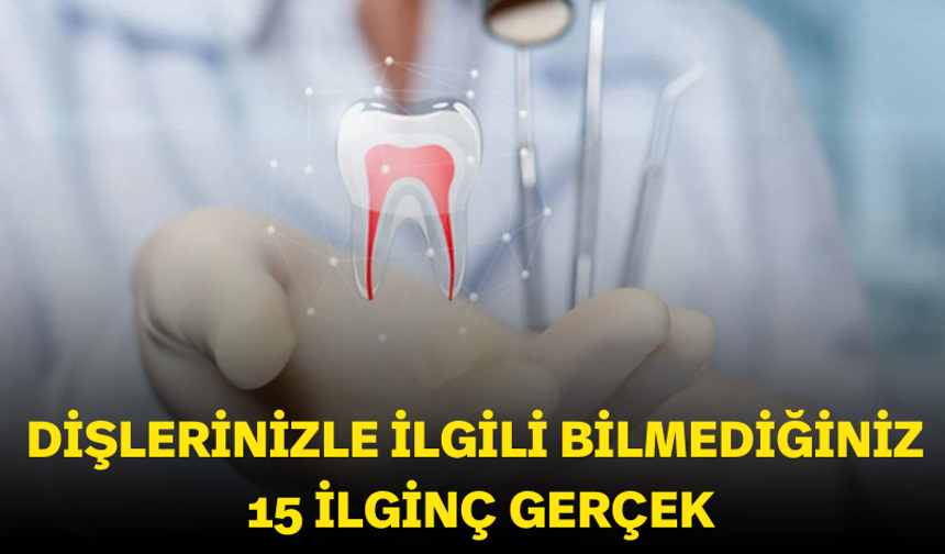 Dişlerinizle ilgili bilmediğiniz 15 ilginç gerçek