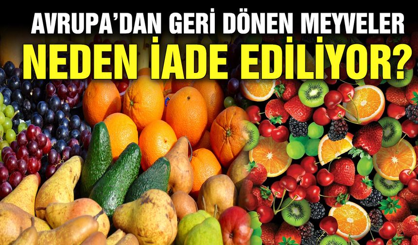 Avrupa’dan geri dönen meyveler neden iade ediliyor?