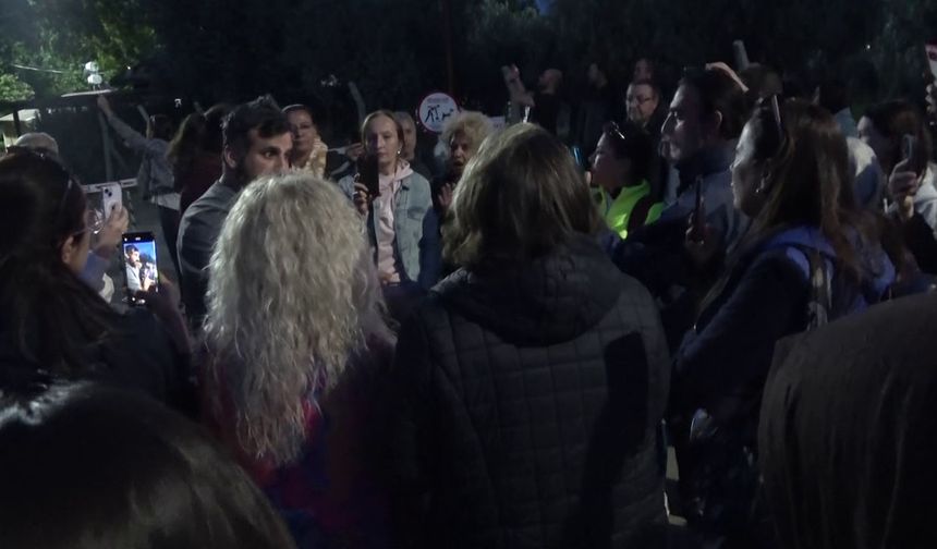 Bursa'da hayvanlar öldürülüyor iddiası, nöbet başlattı