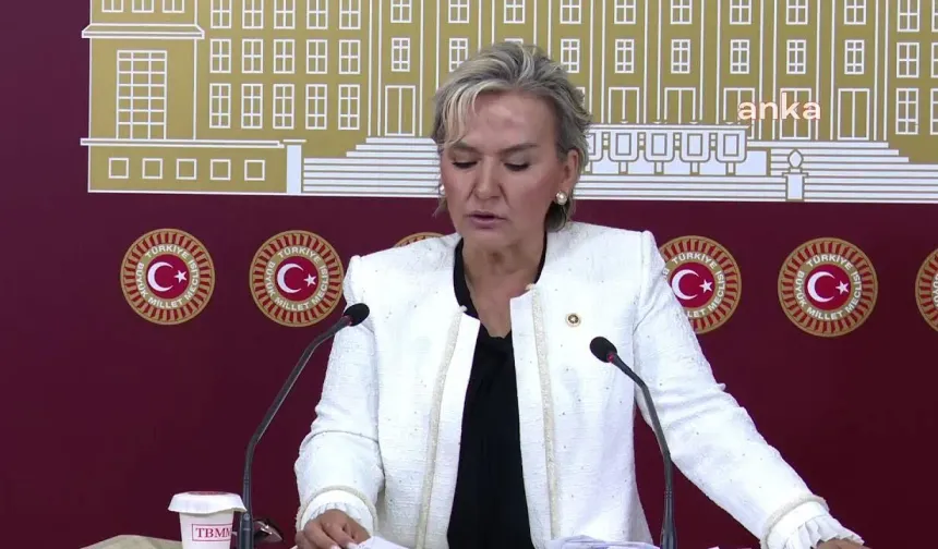 CHP, hayvanlar için komisyon kurdu