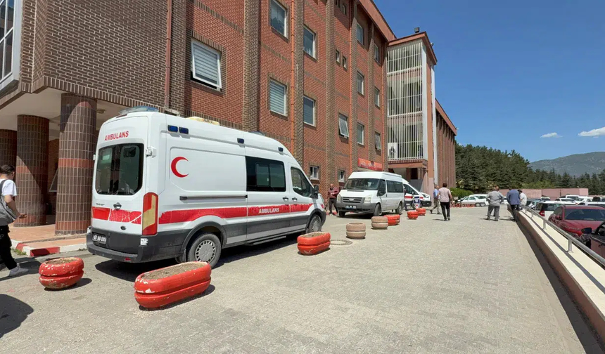 Kene ısırığı 1 buçuk yaşındaki çocuğu hayattan kopardı