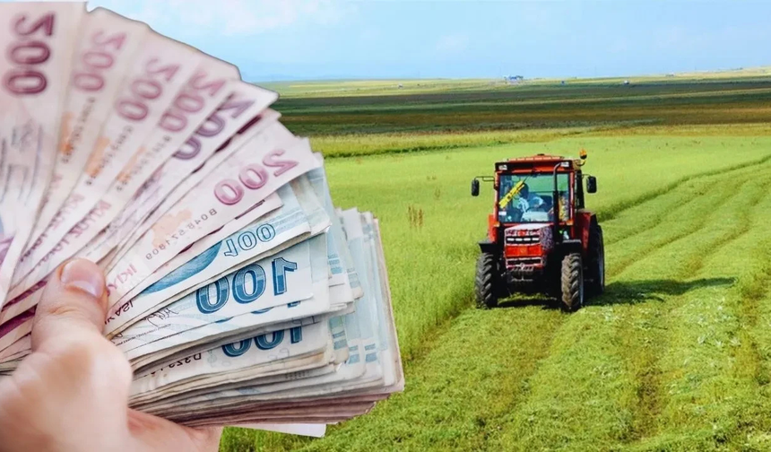 Zirai don destek ödemeleri Kurban Bayramı sonrası başlayacak