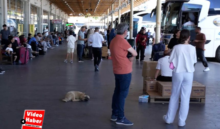 Diyarbakır otogarında Bayram yoğunluğu! "GELEN ÇOK, GİDEN AZ"