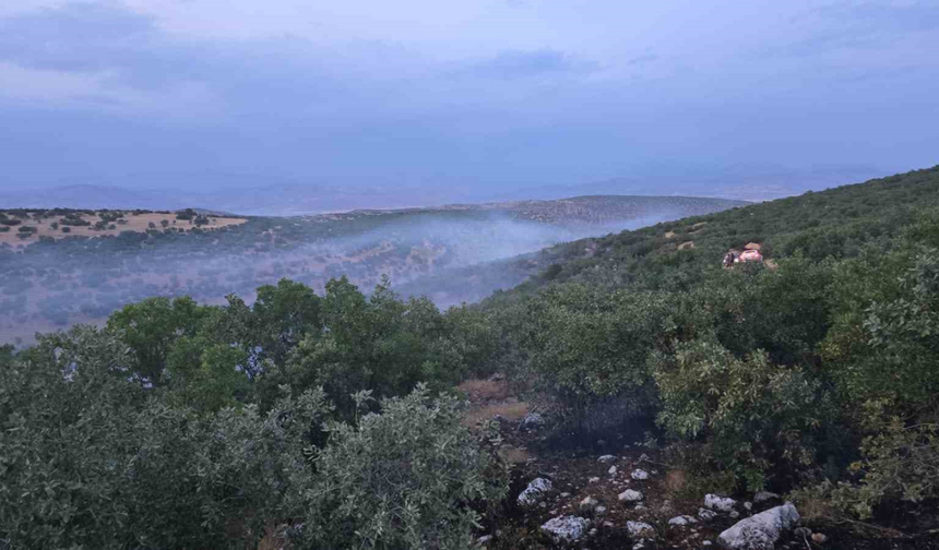 Diyarbakır Silvan’da korkutan yangın kontrol altına alındı