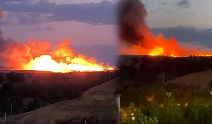 Diyarbakır Sur'da buğday tarlasında yangın çıktı