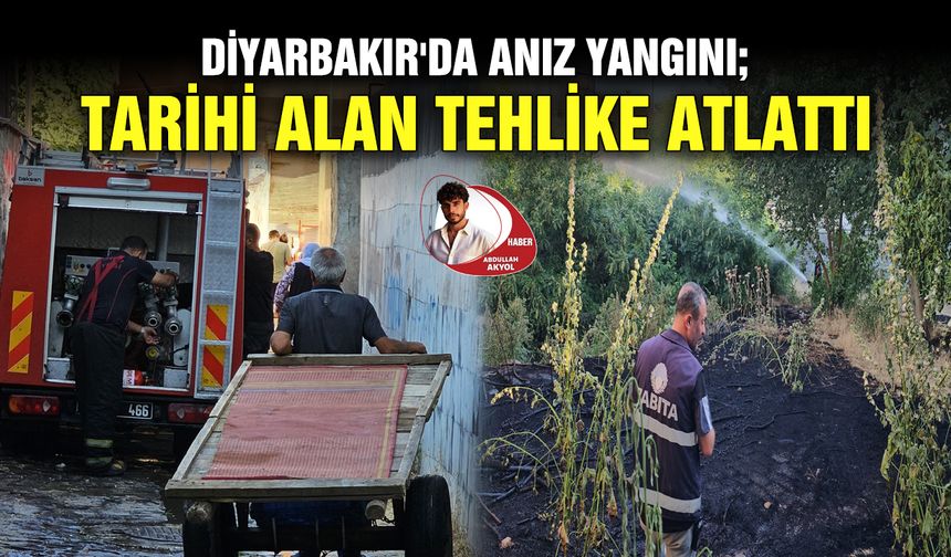 Diyarbakır'da anız yangını; Tarihi alan tehlike atlattı