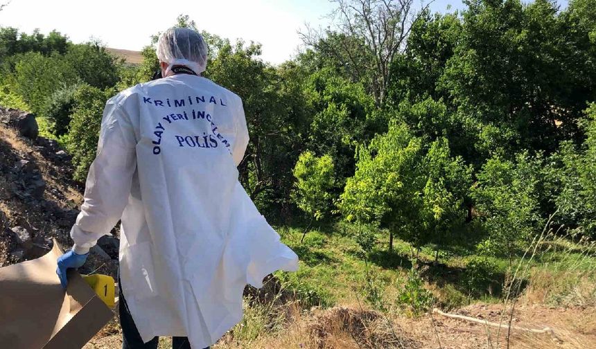 Elazığ’da ağaca asılı erkek cesedi: Soruşturma başlattı
