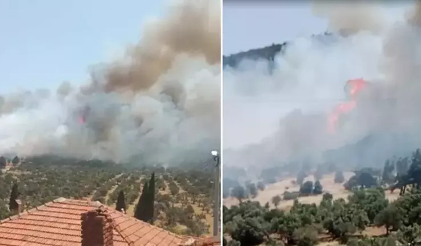 İzmir’de orman yangını: Müdahale devam ediyor!