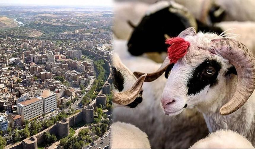 Kurban bayramında Diyarbakır’da hava nasıl olacak?