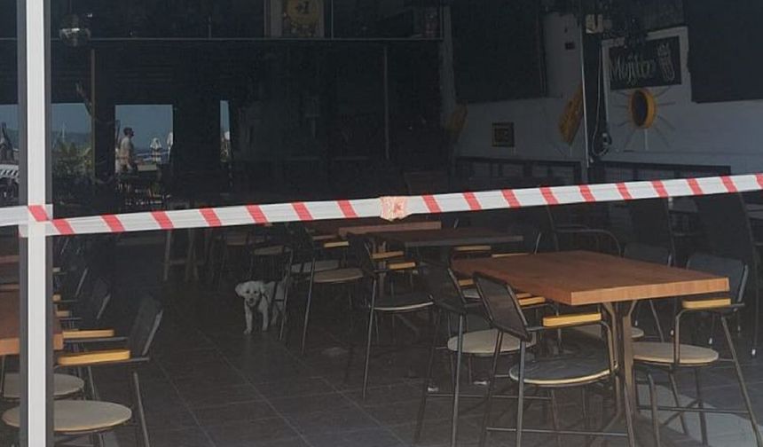 Marmaris'te kapsamlı denetim: 14 işletme kapatıldı