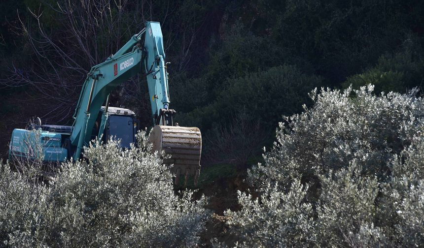 Zeytinlikler için maden izni TBMM’den geçti