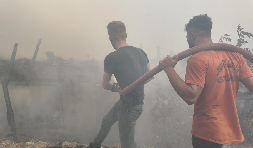 Antalya'da çıkan otluk yangını evlere sıçradı