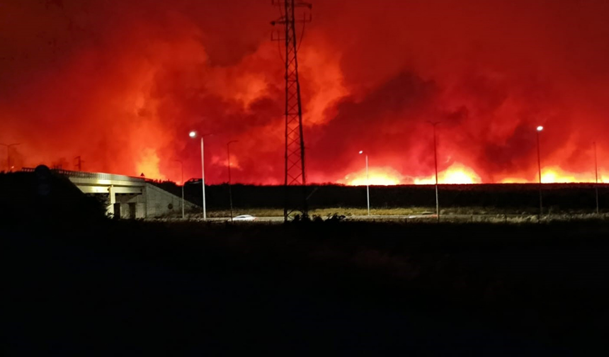 Tekirdağ’da orman yangını: mahalleler tahliye edildi