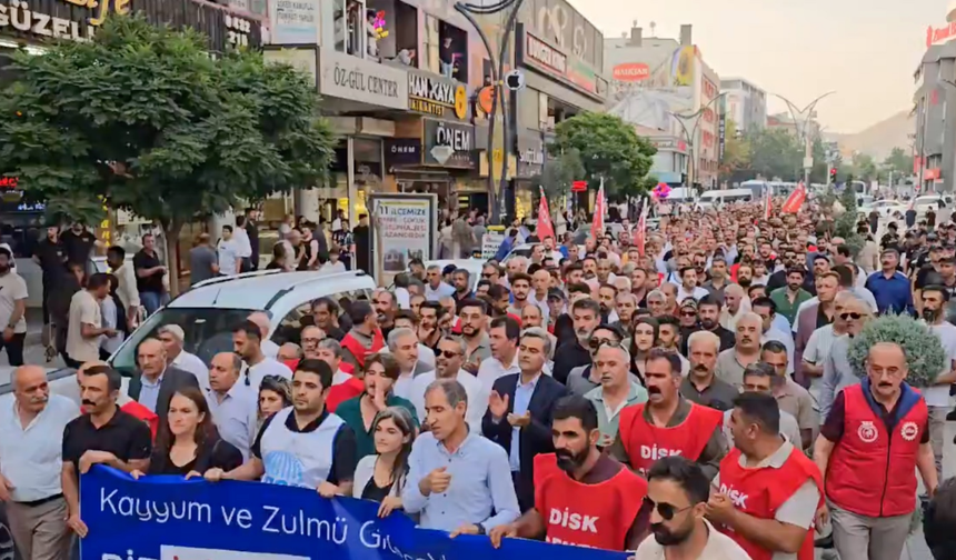 Van’da 223 işçi kayyım tarafından işten atıldı, eylemler başladı