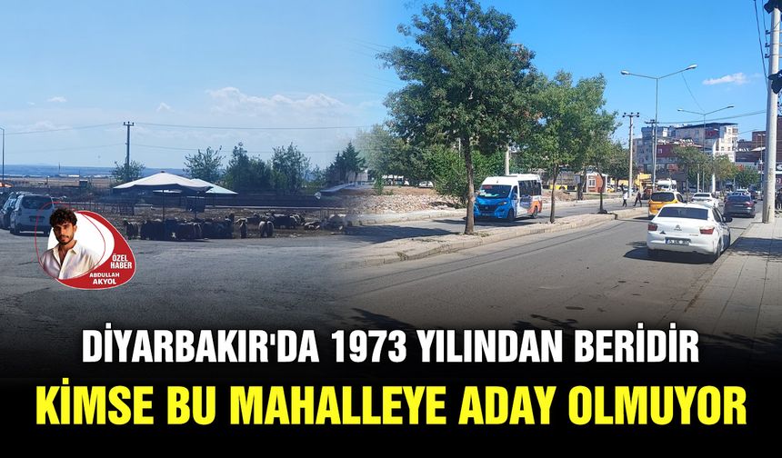 Diyarbakır'da 1973 yılından beridir kimse bu mahalleye aday olmuyor