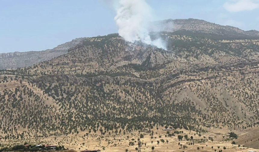 Hakkari’de çıkan yangında 5 hektarlık alan yandı