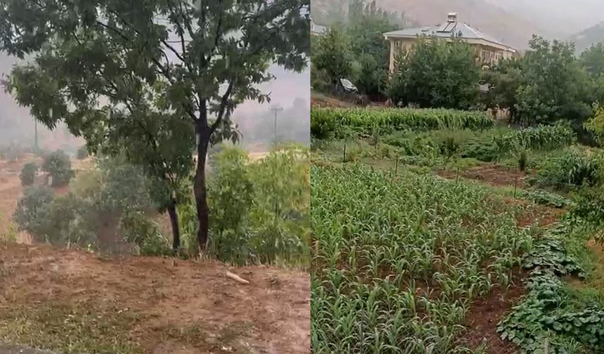 Diyarbakır merkez kavruluyor; İlçeler serinliğe büründü