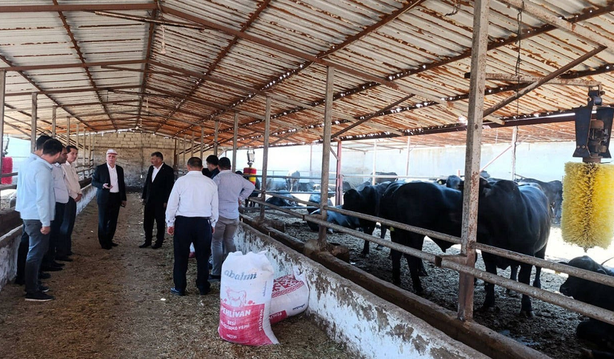 Şap alarmı: TZOB Başkanı’ndan acil önlem çağrısı