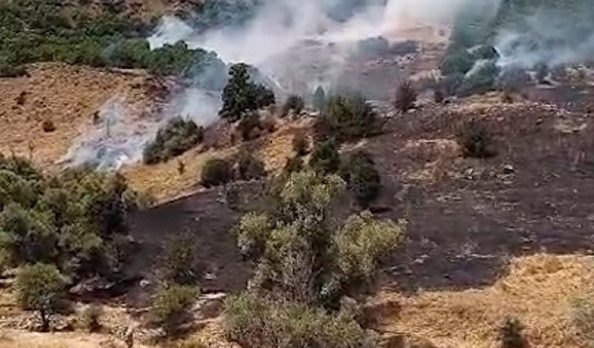 Tunceli’de çıkan yangın söndürüldü