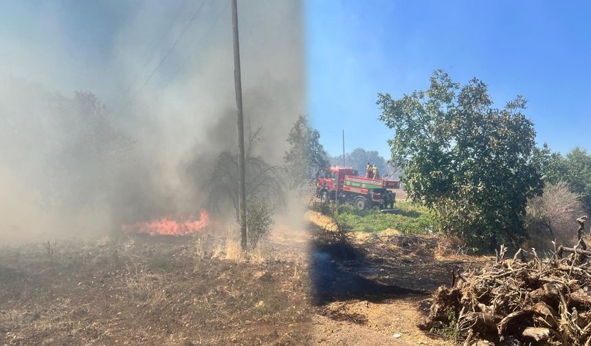 Diyarbakır'da 2 kırsal mahallede orman yangını