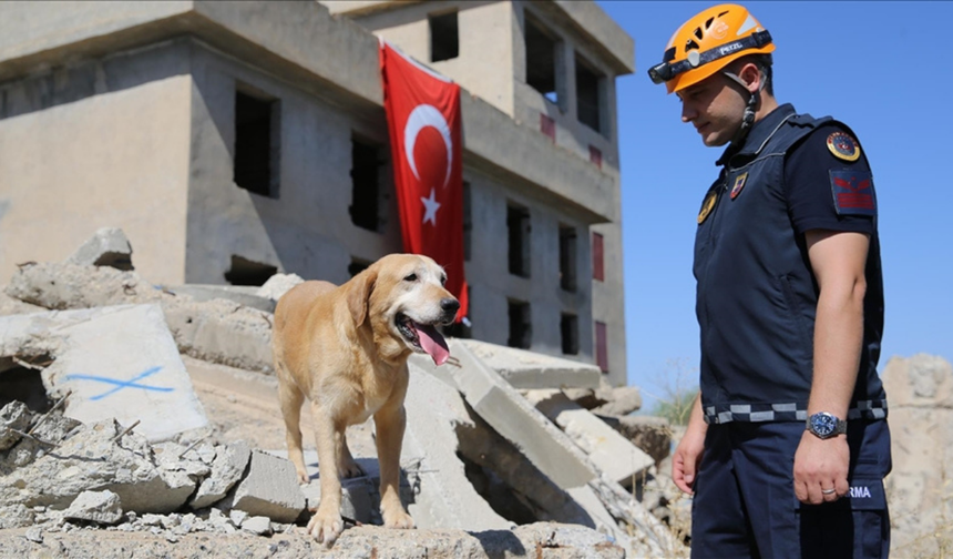Diyarbakır’da görevli kadavra arama köpeği Pusat, 16 ilde 112 göreve katıldı