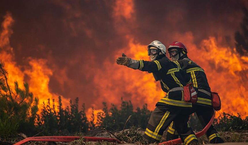 Türkiye’de orman yangınları: Doğal ve insan kaynaklı tehditler