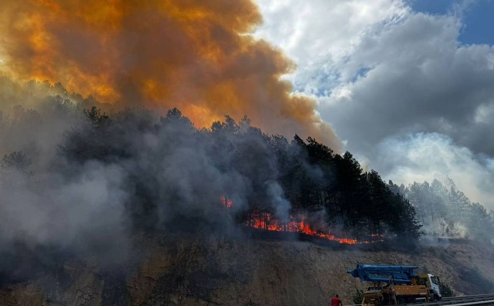 Bolu'da orman yangını: Kara yolu kapatıldı