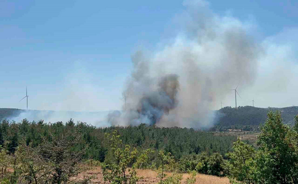 Çanakkale’de orman yangını kontrol altına alındı