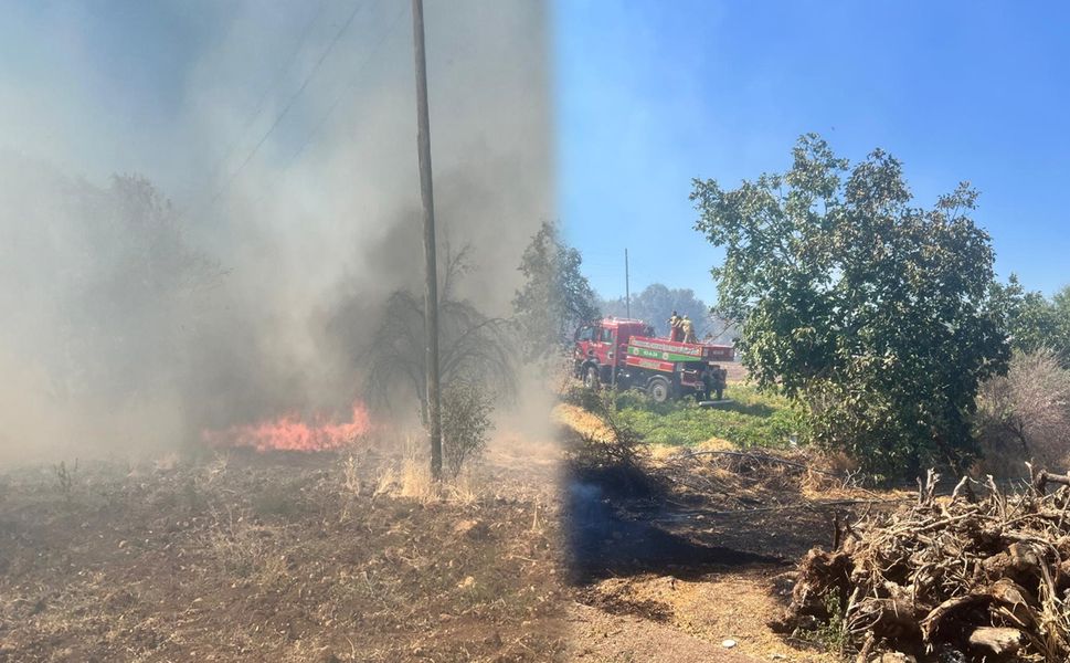 Diyarbakır'da 2 kırsal mahallede orman yangını